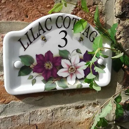 Lilac *